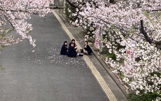 花見