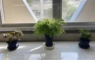 2学期中間考査が始まりました