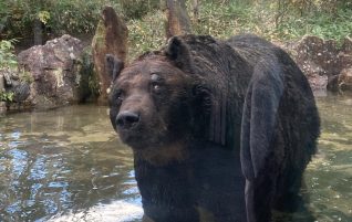 北海道修学旅行７　ベアーマウンテン